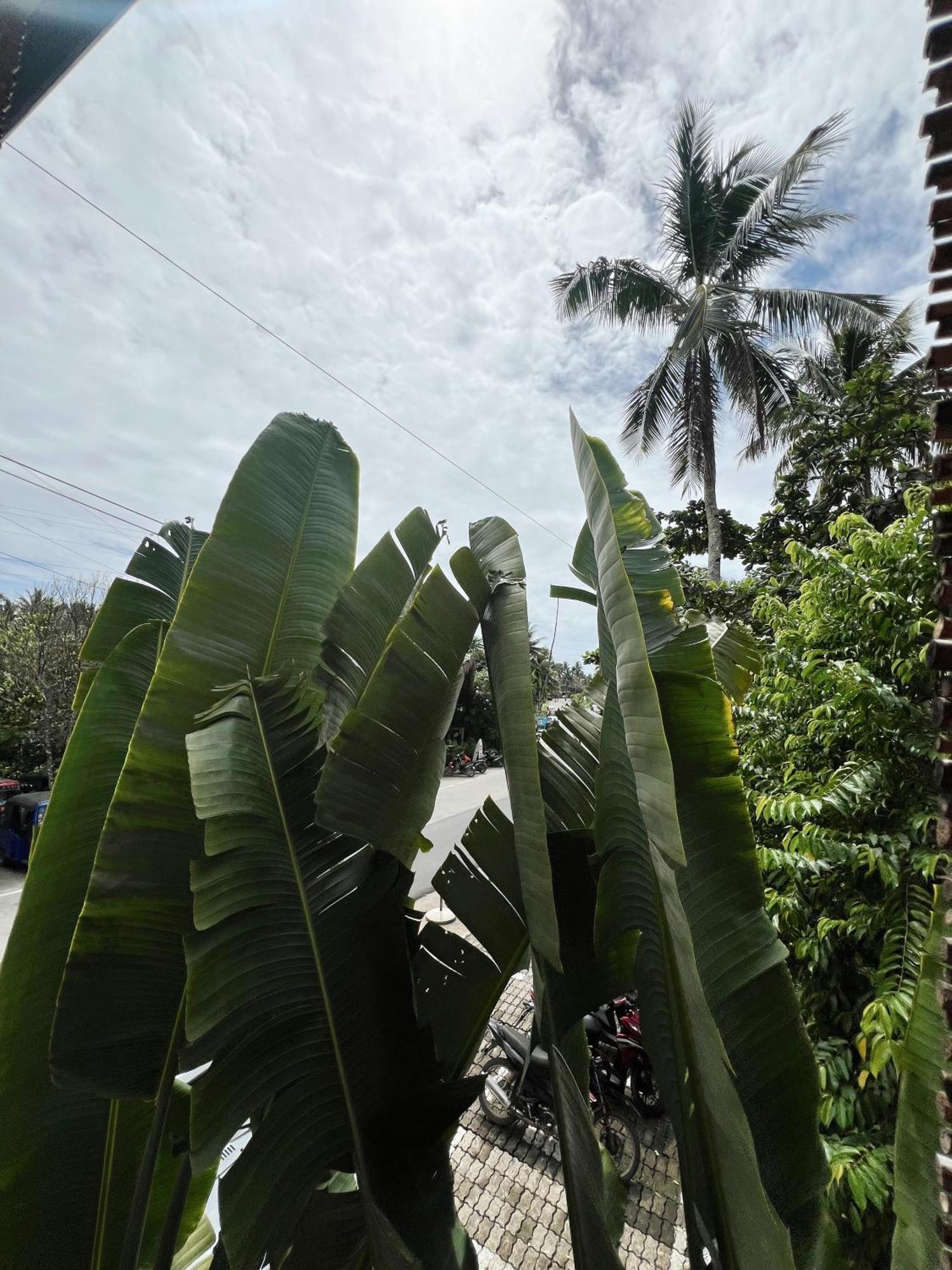 Shelves Siargao Hotel เจเนอรัลลูนา ภายนอก รูปภาพ